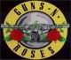 Guns Roses Woven Throw